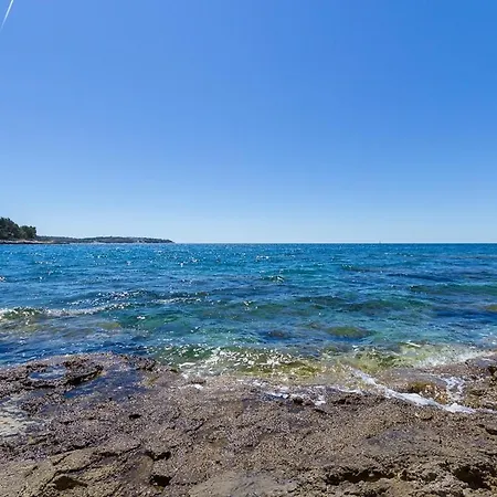 Bursic Апартаменти *